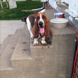 Meet your Posher, Sean